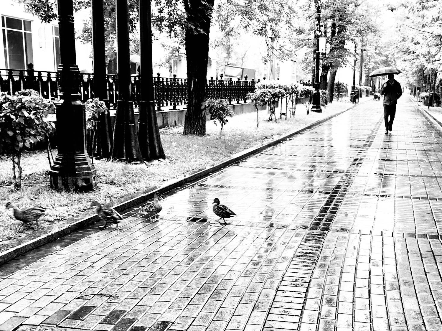 Photo #13737294