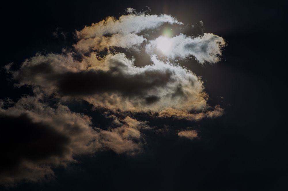 Photograph by Елена Григорович