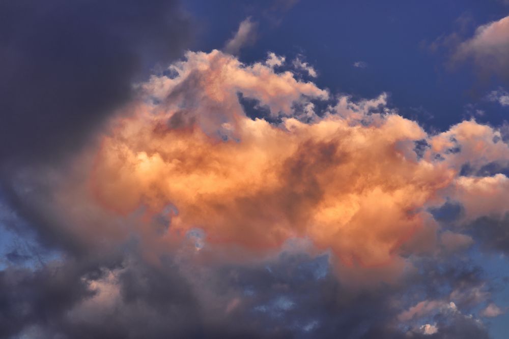 Photo #13737297