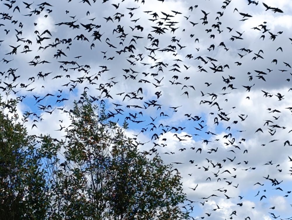 Photograph by Юрий Гордеев
