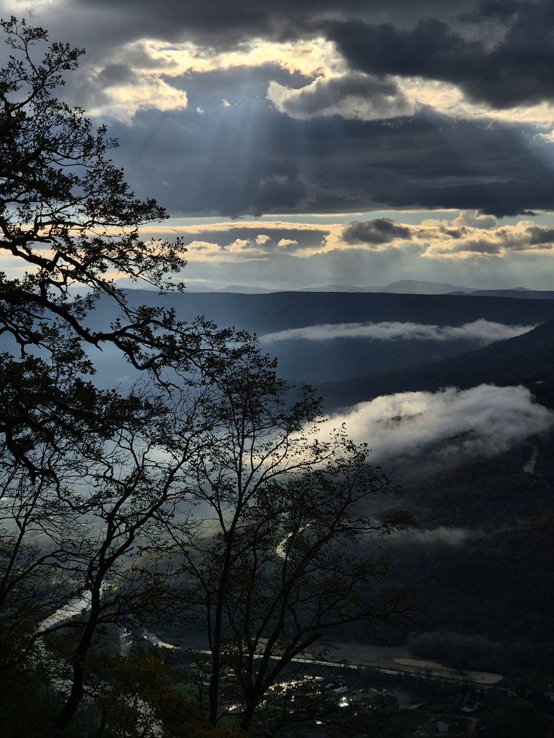 Photo #13737309