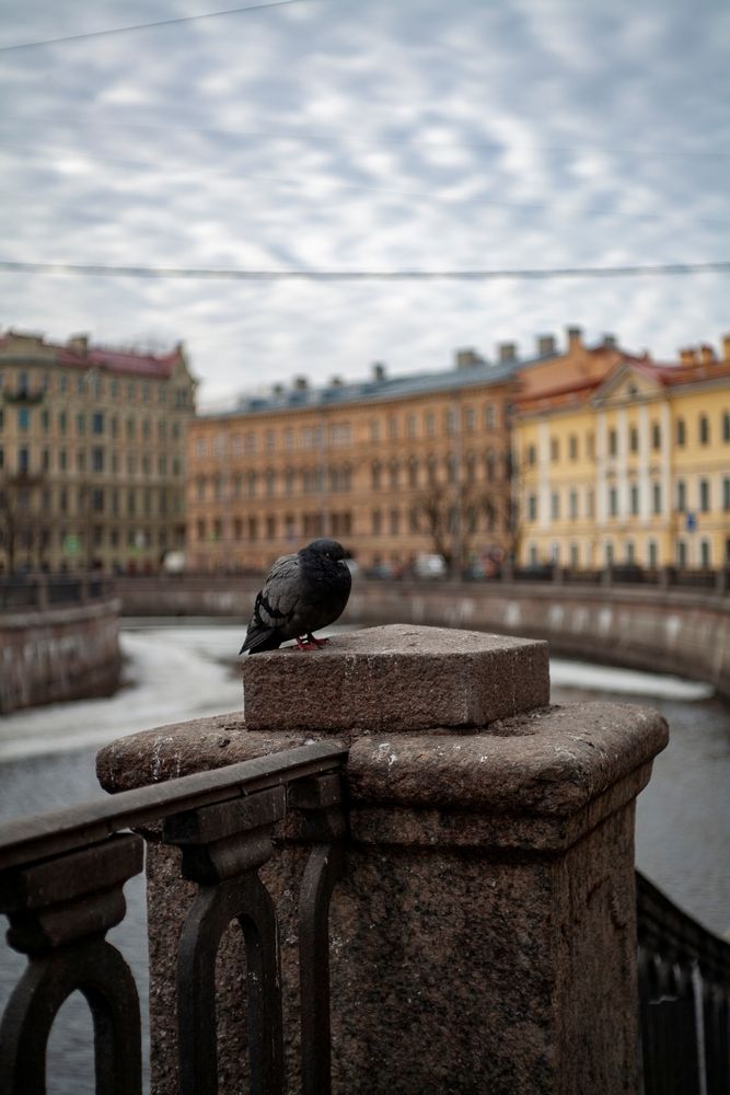 Photograph by Александр Юрьевич С