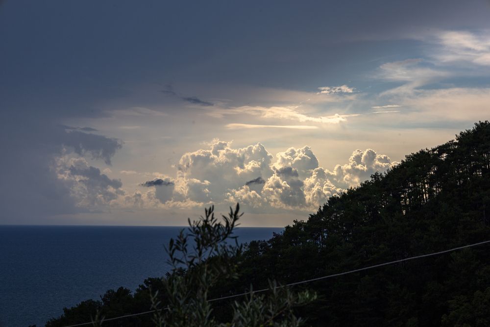 Photograph by София Серёжечкина