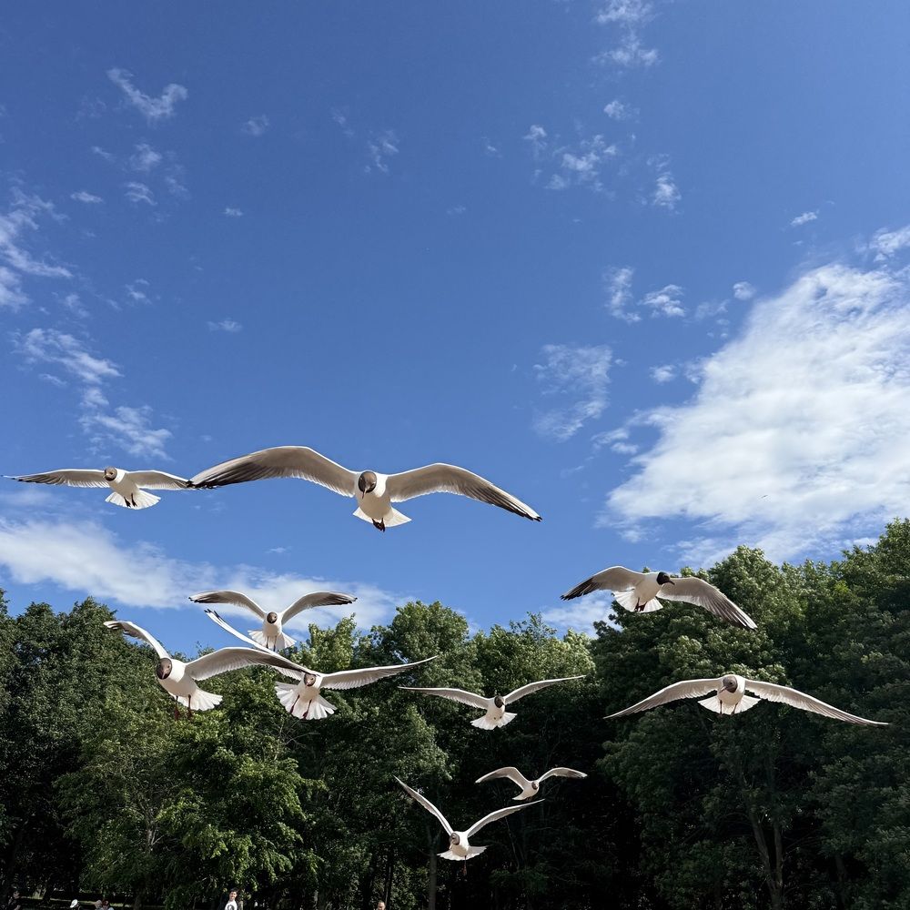 Photograph by Макеева Юлия