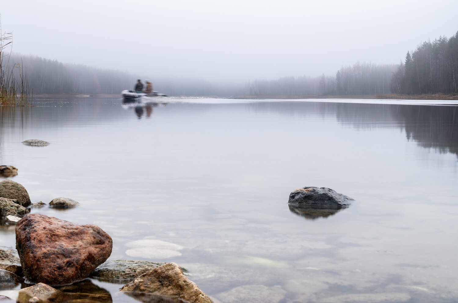 Photo #13737408