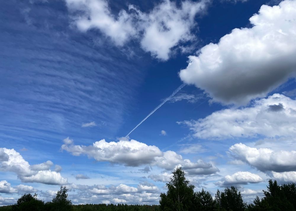 Фотография автора Надежда Смирнова