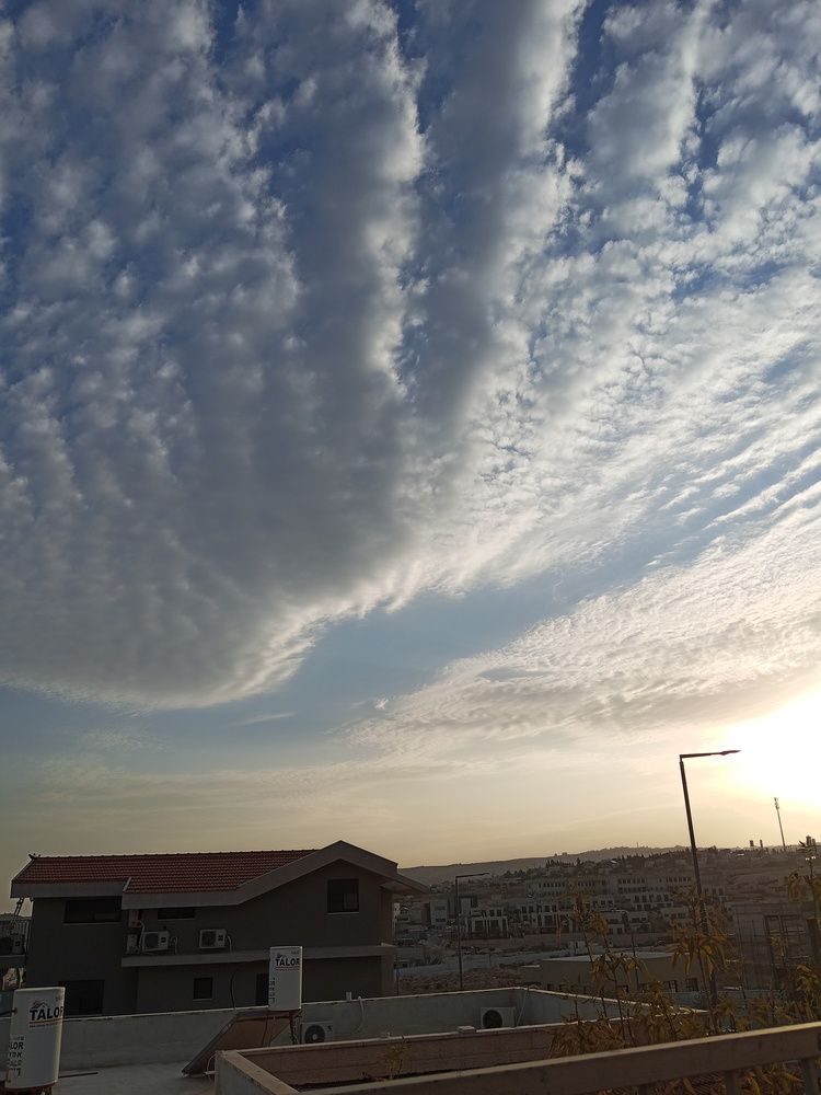 Photo #13737447
