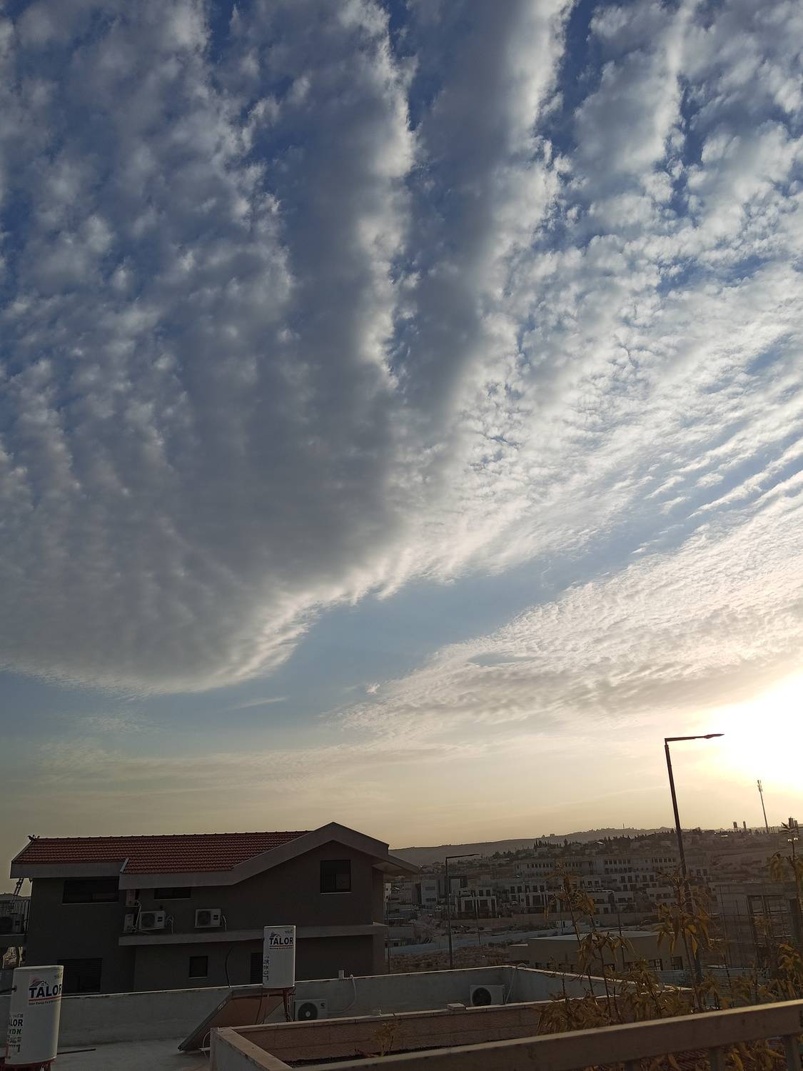 Photo #13737447