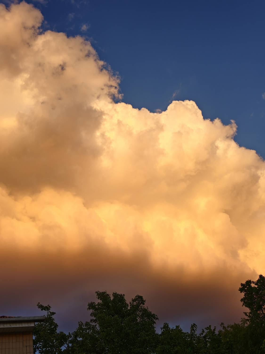 Photo #13737449