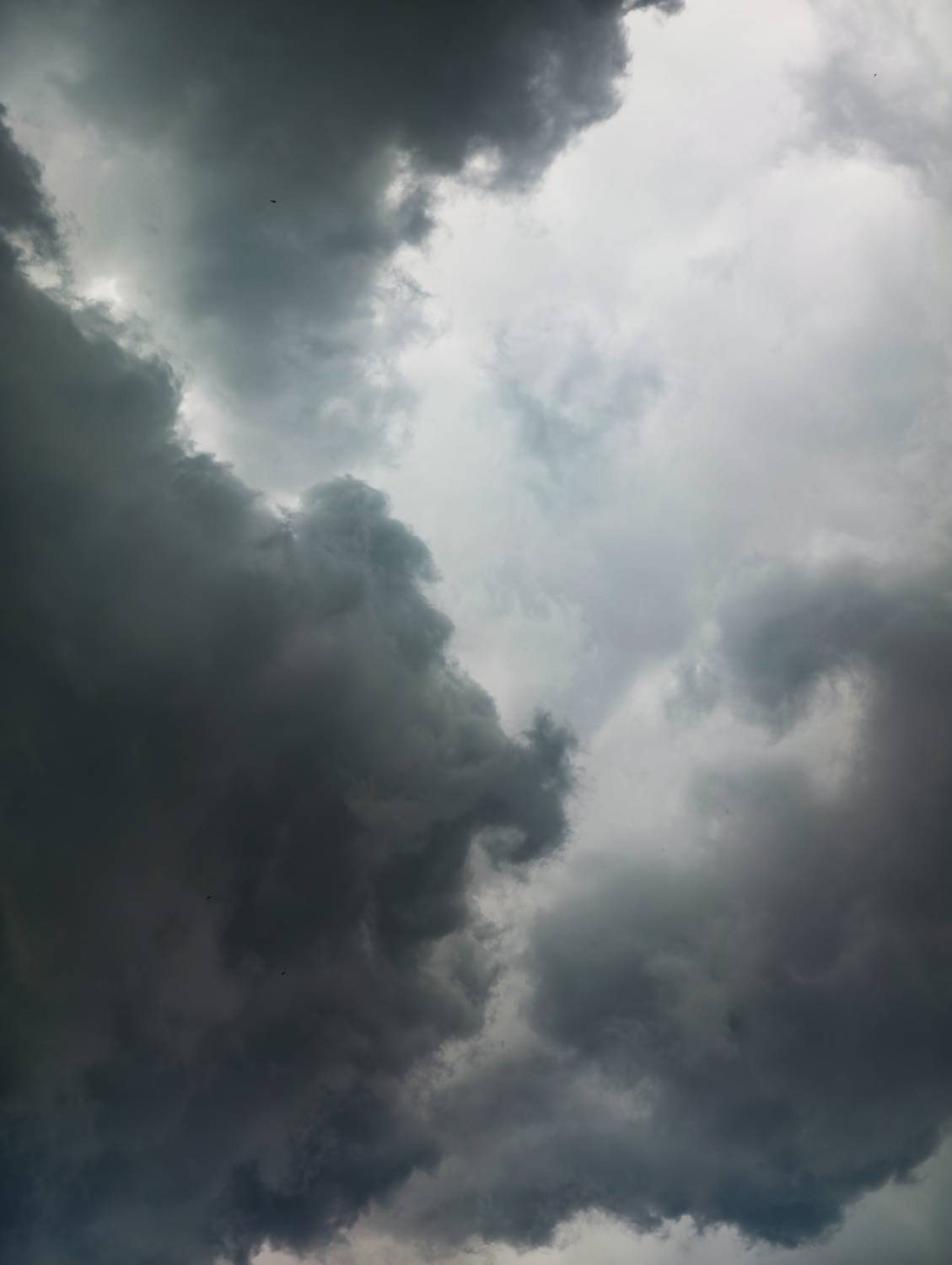 Photo #13737450