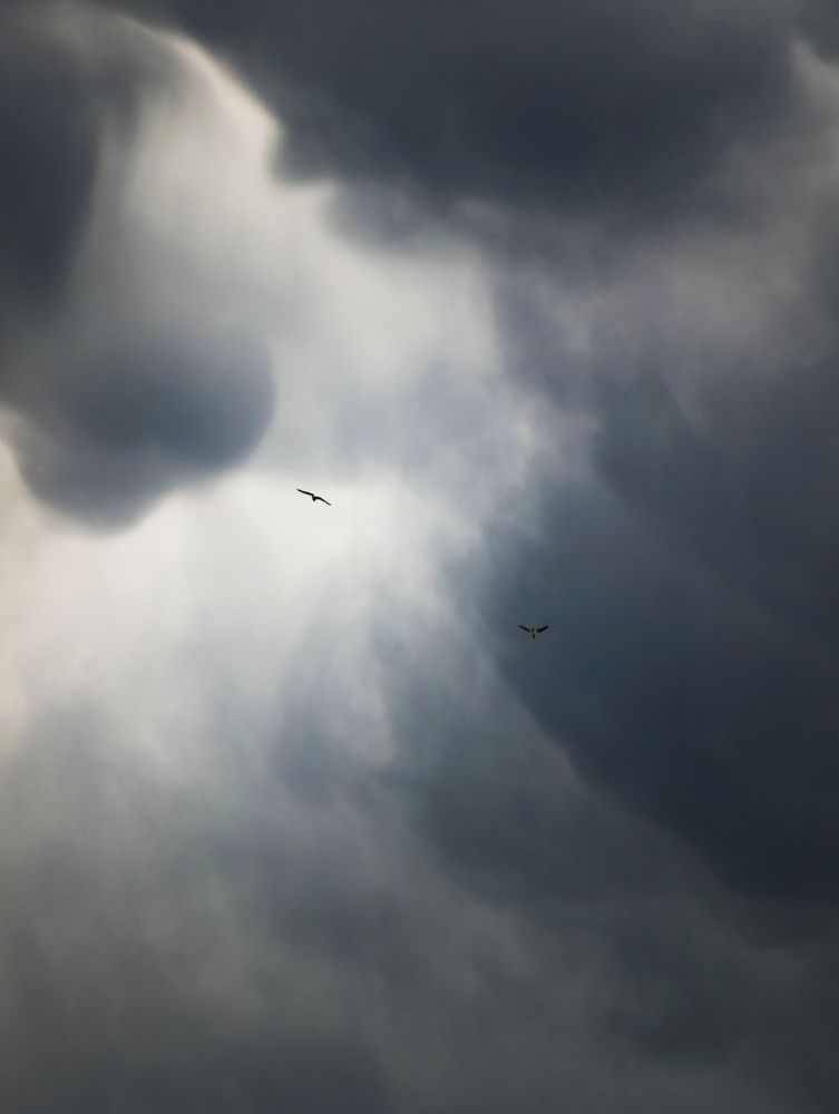 Photograph by Максим Симанчук