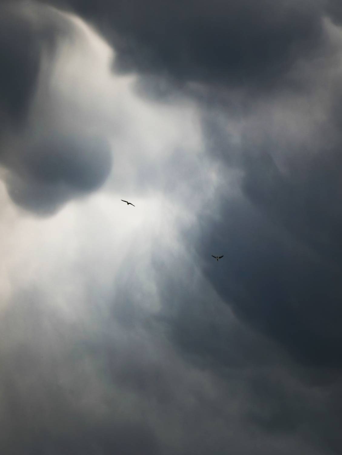 Photo #13737451