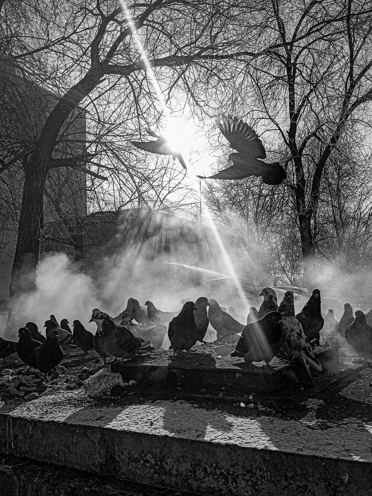 Фотография автора Александр Соколович