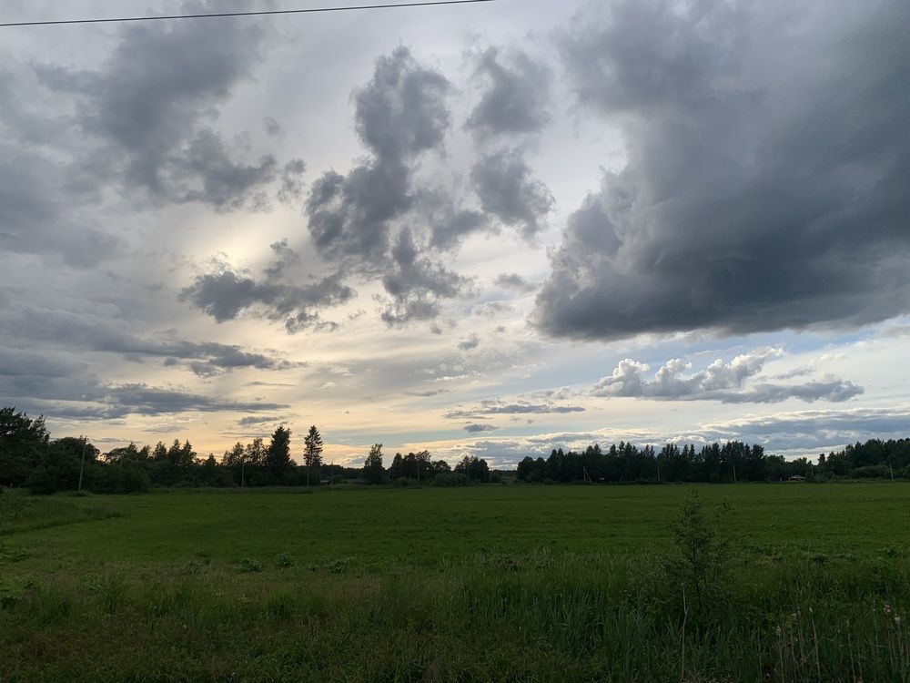 Photograph by Елена