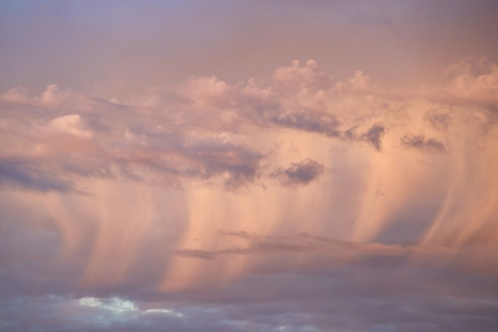 Photograph by Анастасия Ануфриева