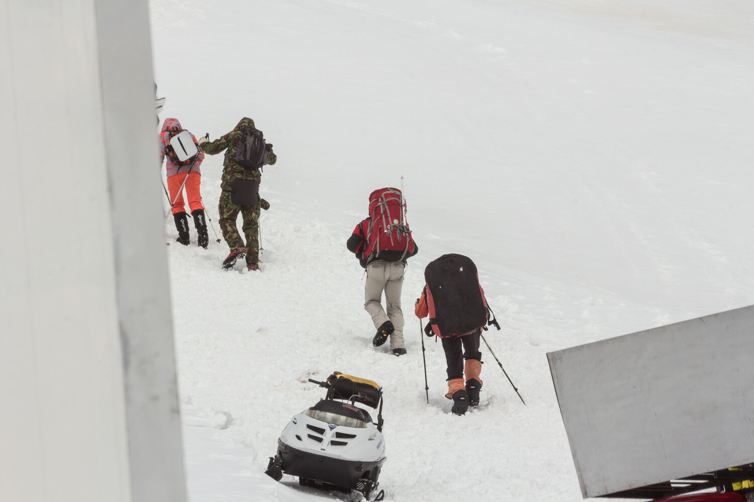 Photo #13737539