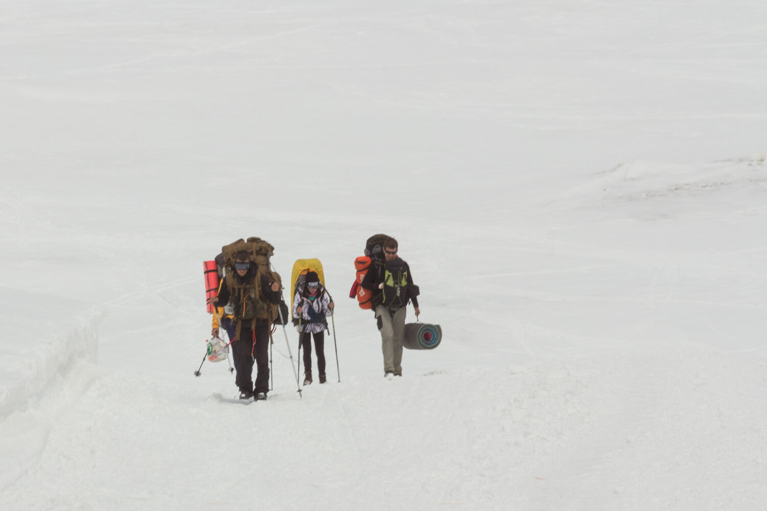 Photo #13737540