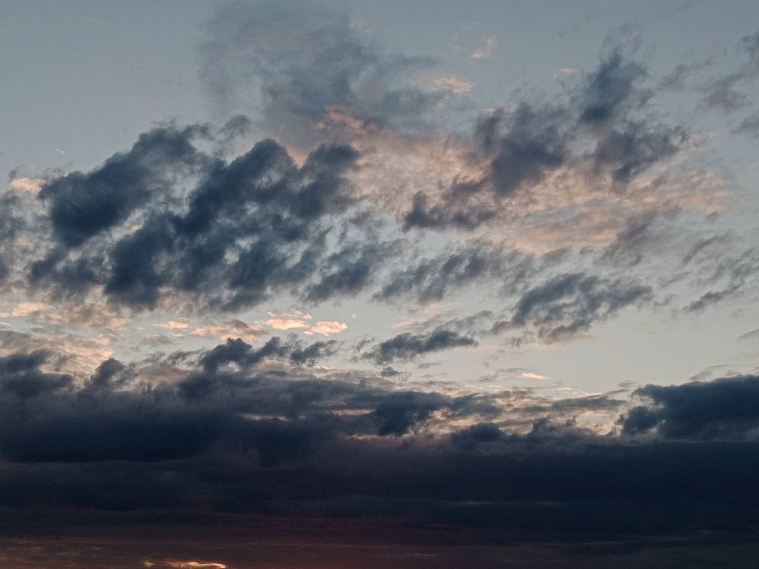 Photo #13737588