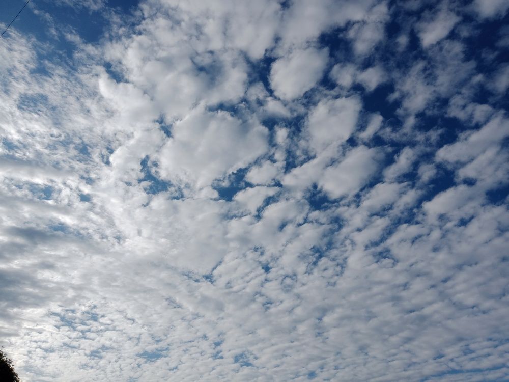 Photo #13737589