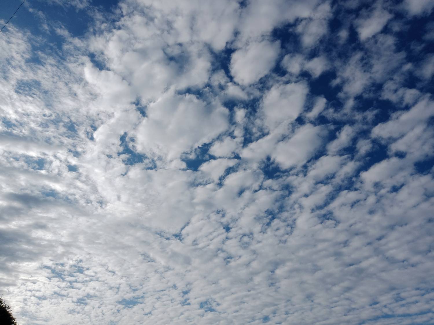 Photo #13737589