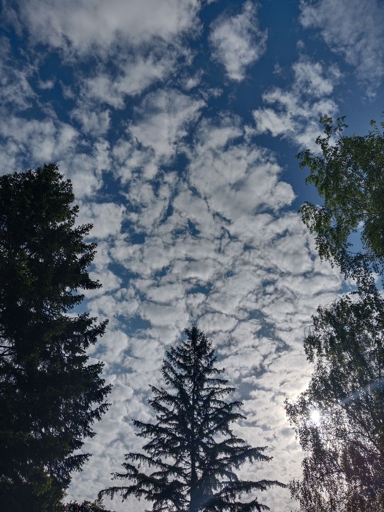 Photo #13737592