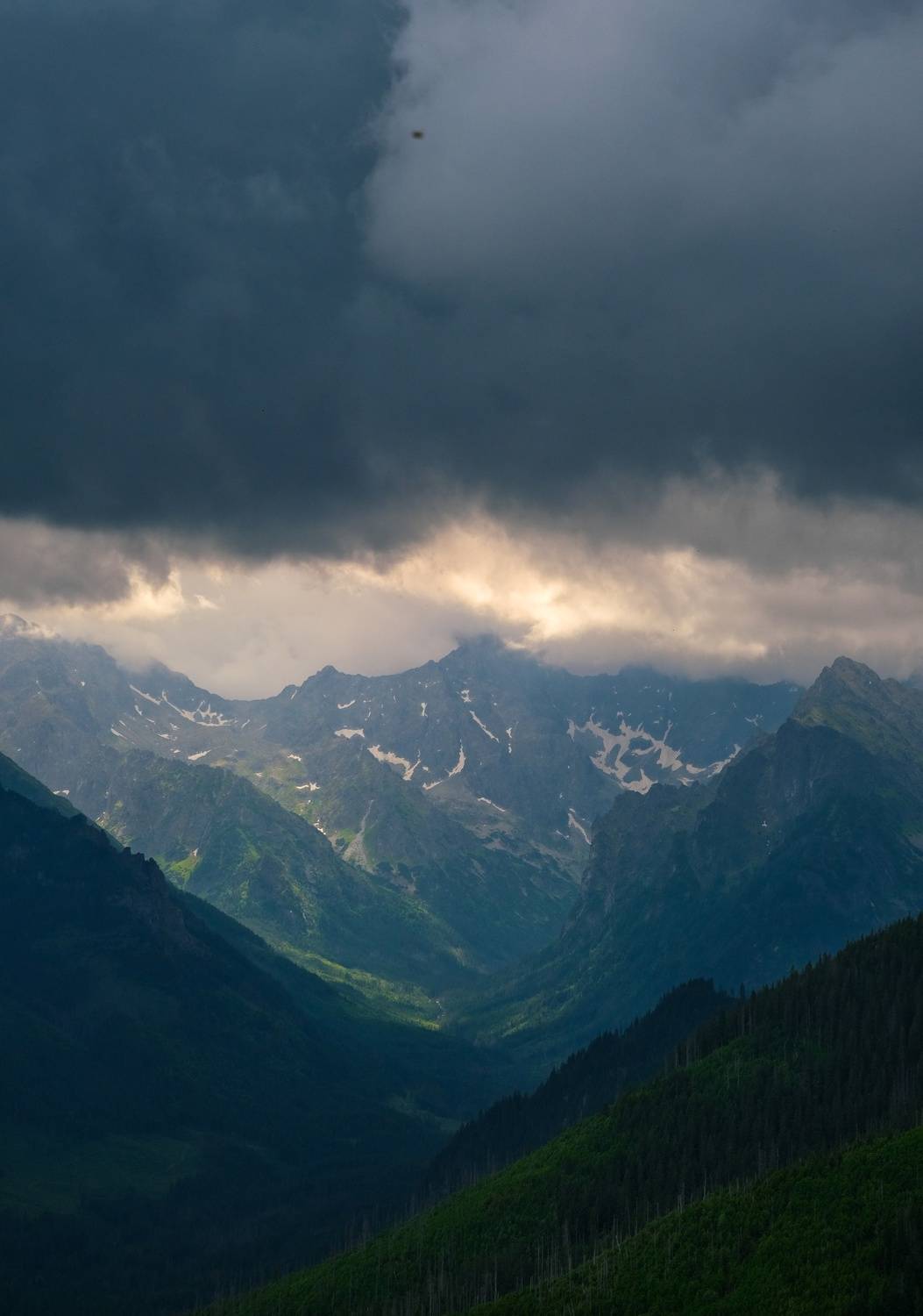 Photo #13737636