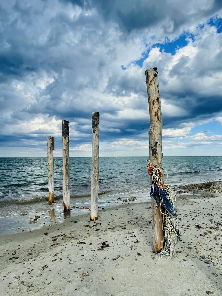 Photograph by Olga Andriuc