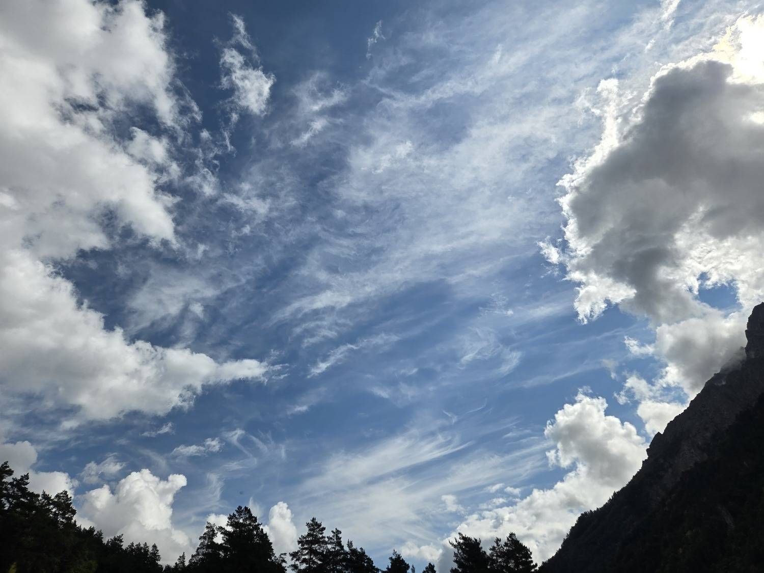 Photo #13737647