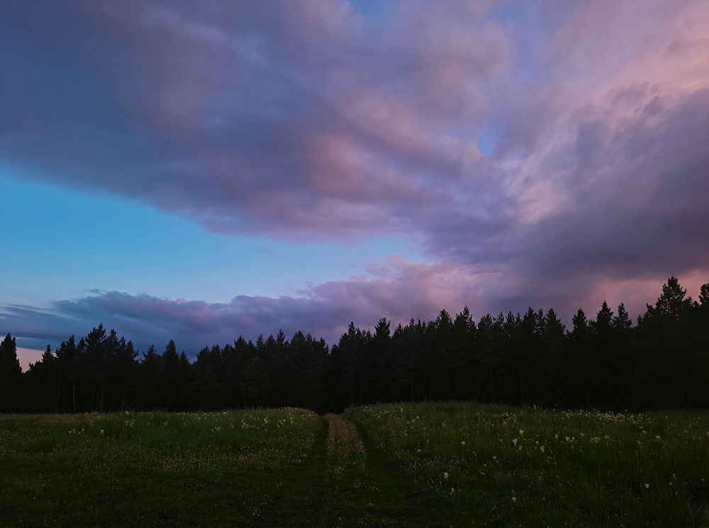 Фотография автора Екатерина Шлехт