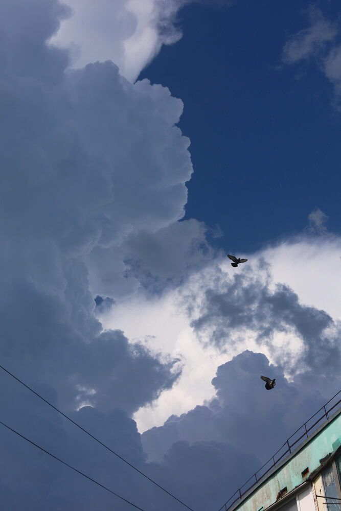 Photograph by Александра Ельникова