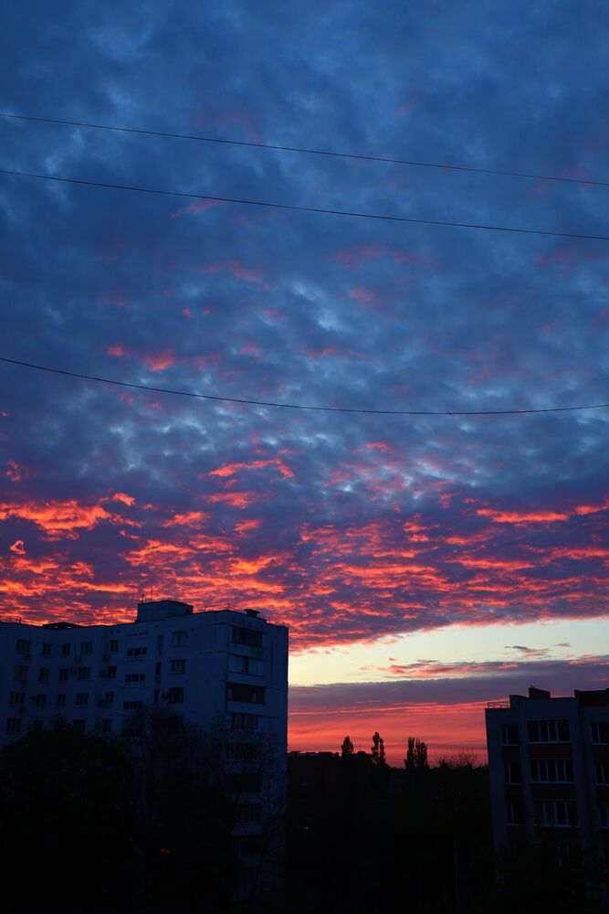 Photograph by Александра Ельникова