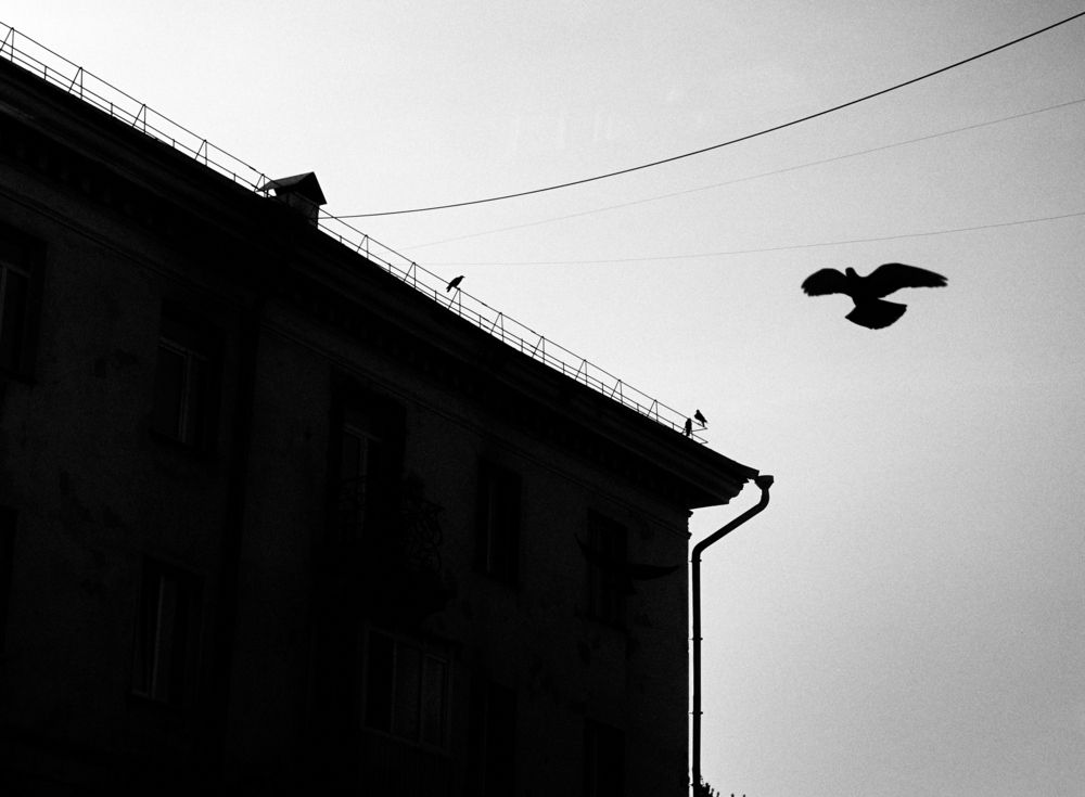 Photograph by Ласьков Евгений