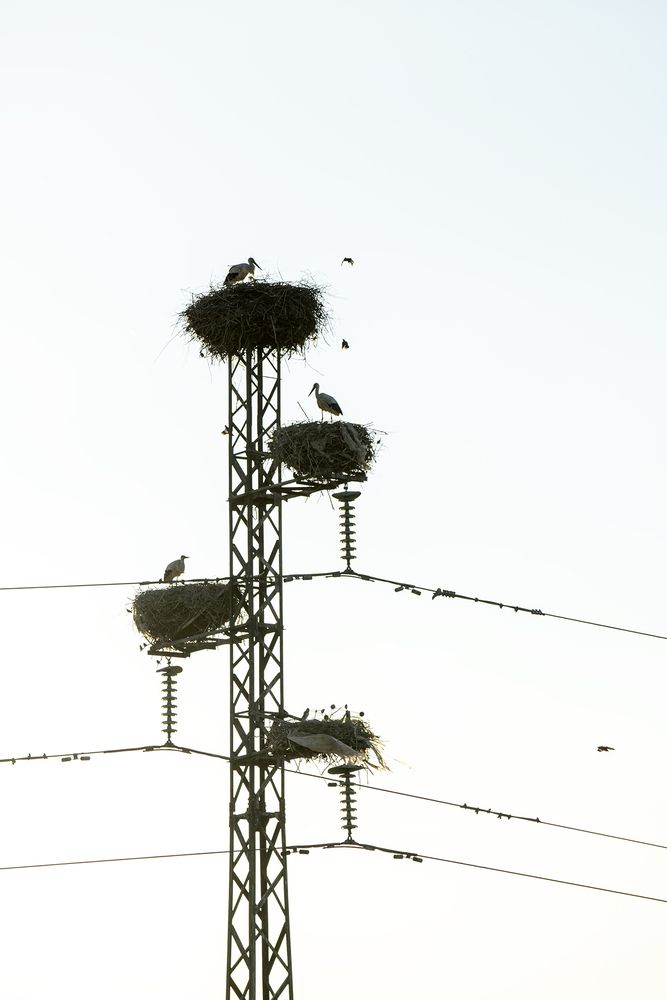 Photograph by Наталия Шинкевич