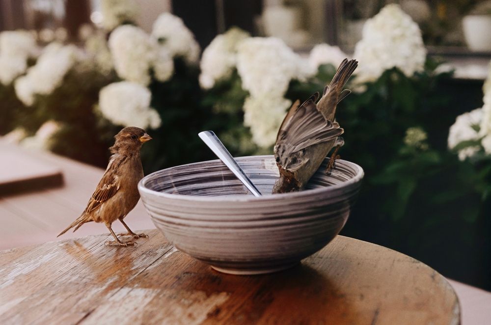 Photograph by Екатерина Шлехт