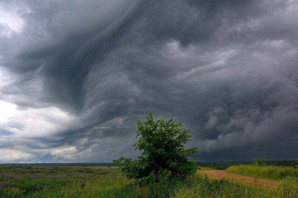 Photograph by Демьян Лопатов