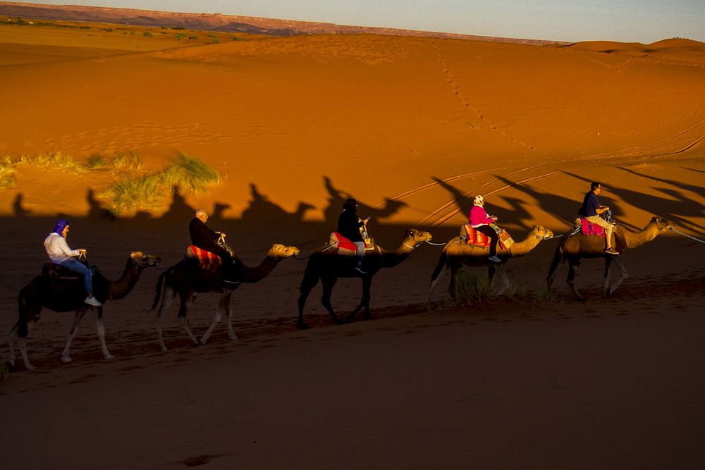 Nomadic Shadows