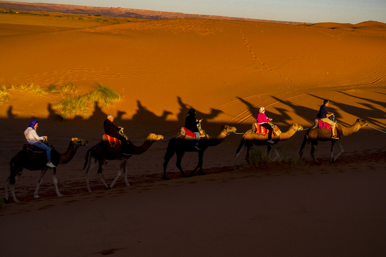 Nomadic Shadows