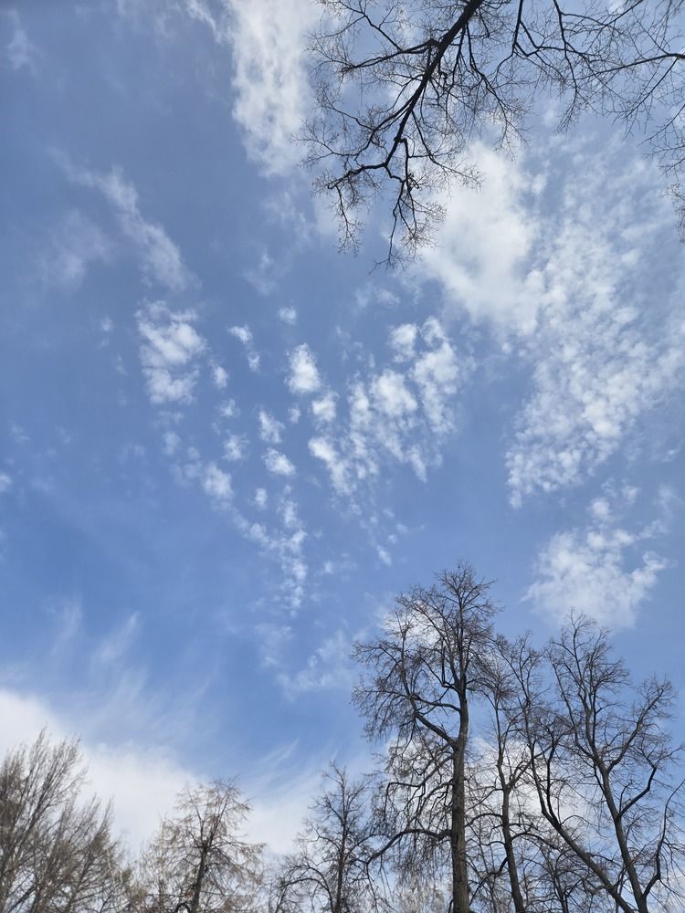 Photograph by Регина Нугманова