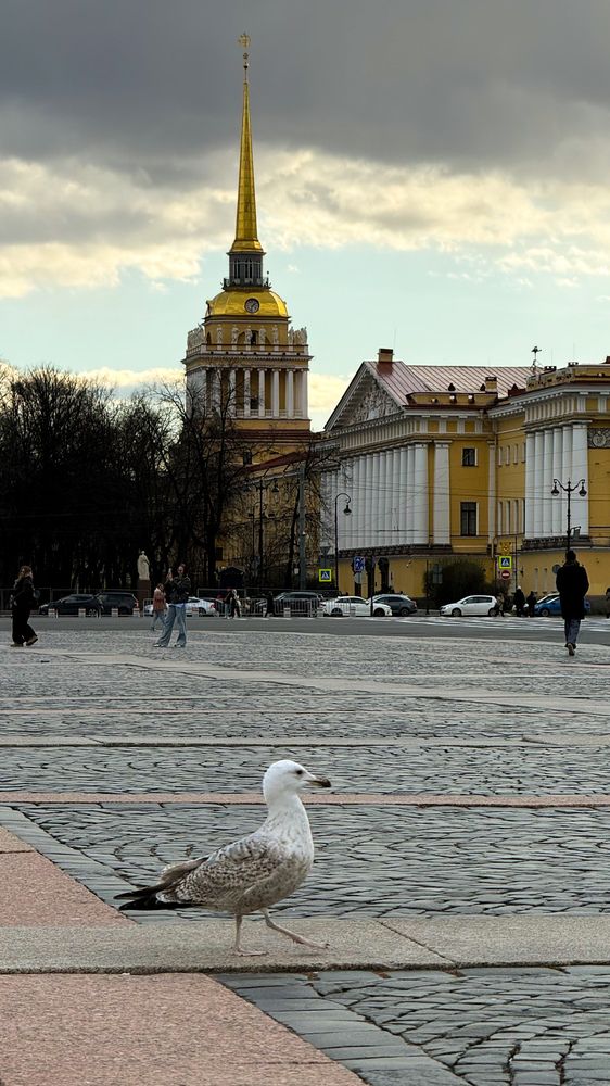 Фотография автора Наталья Лашко