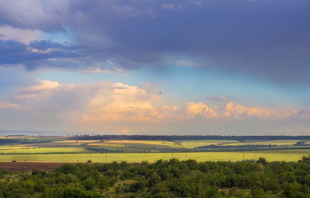 Photograph by Лысенко Сергей