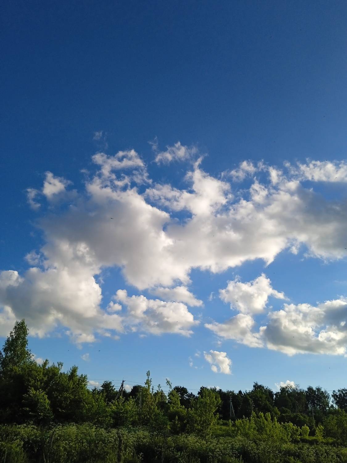 Photo #13737804