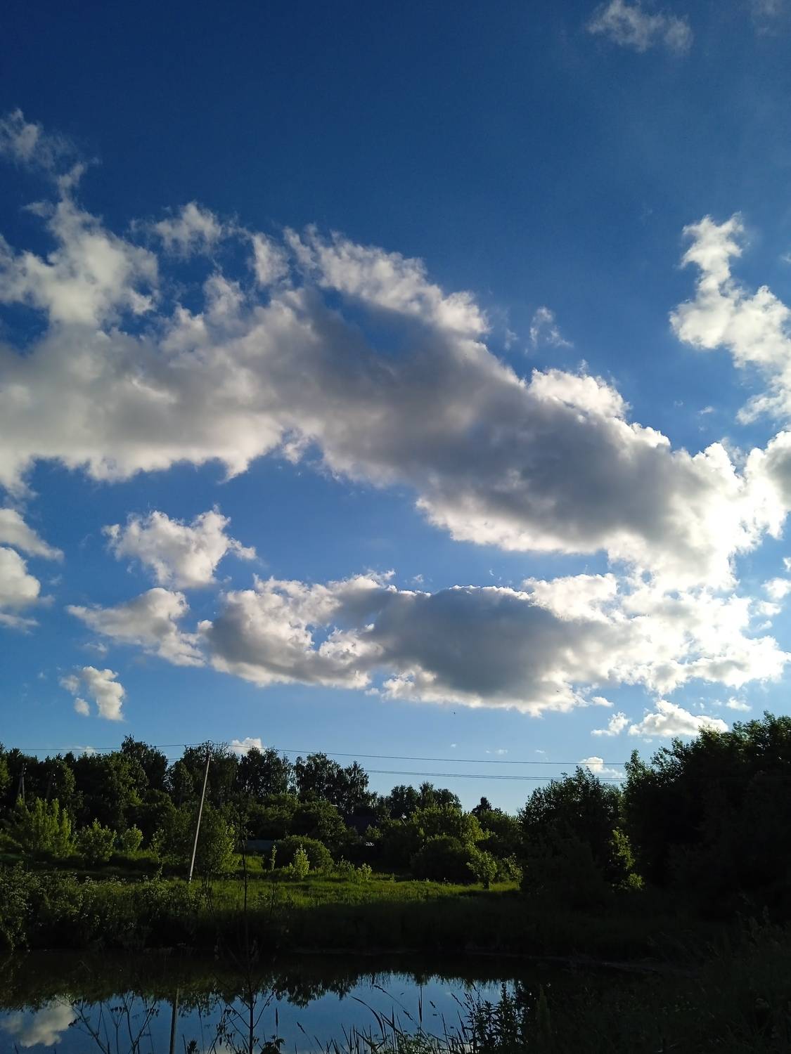Photo #13737810