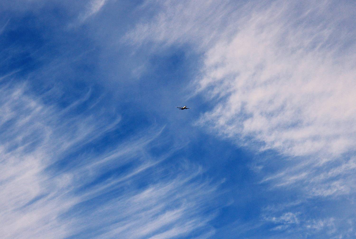 Photo #13737831