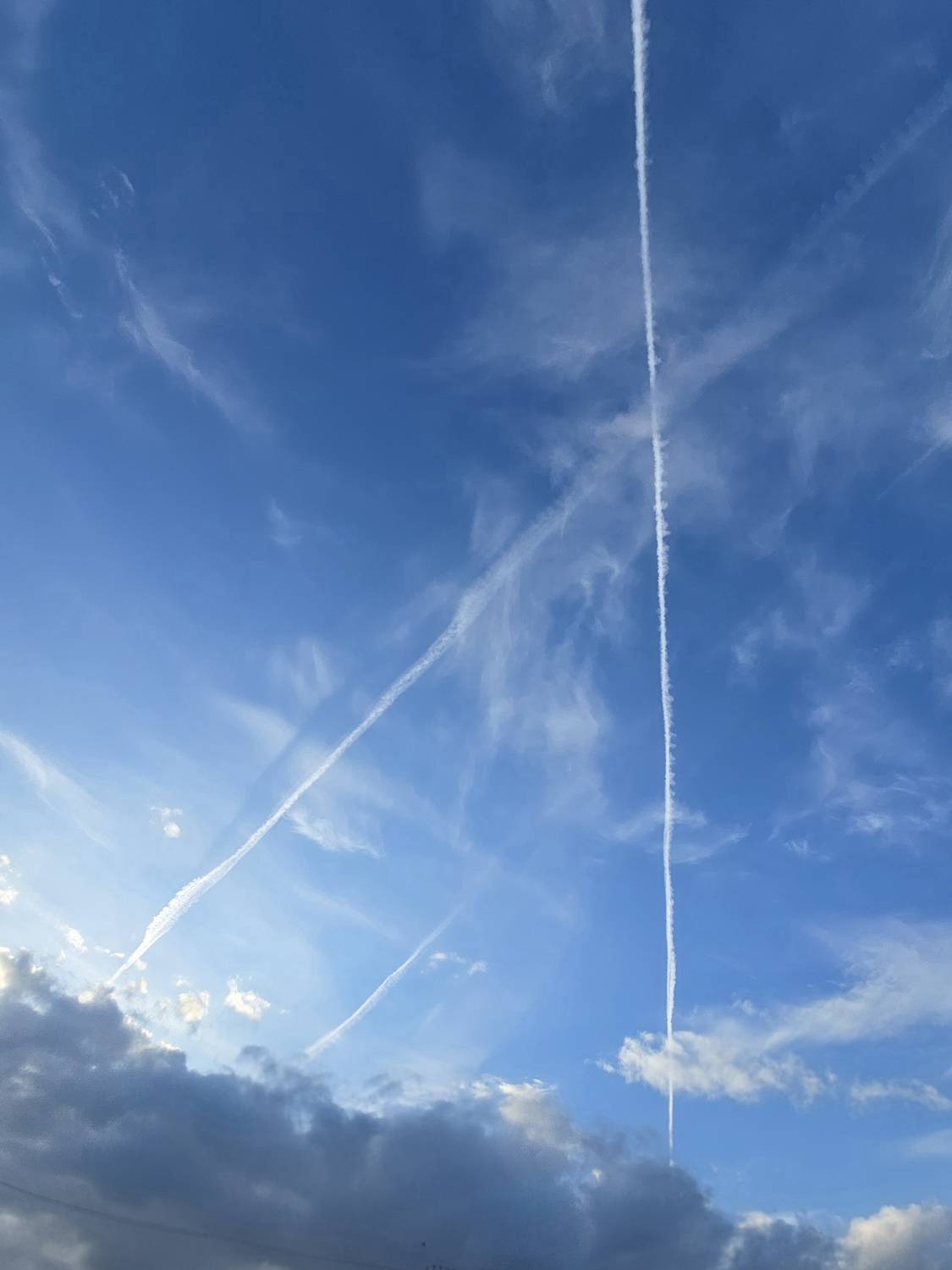Photo #13737879