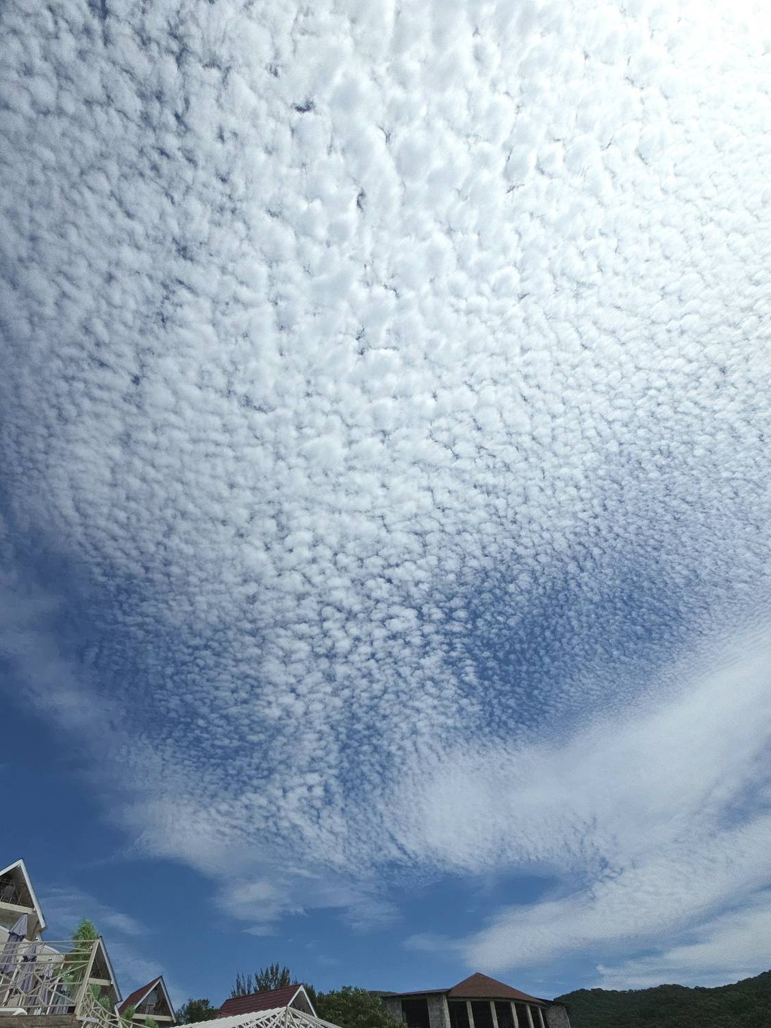 Photo #13737890