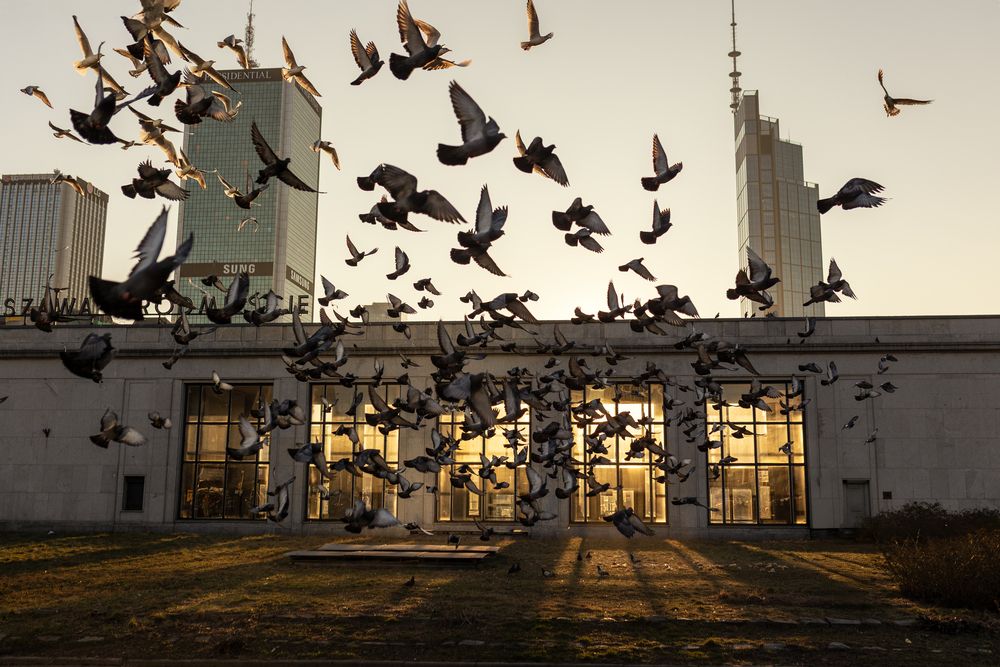 Photograph by LIUDMILA BABROUSKAYA
