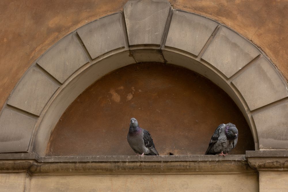 Photograph by LIUDMILA BABROUSKAYA