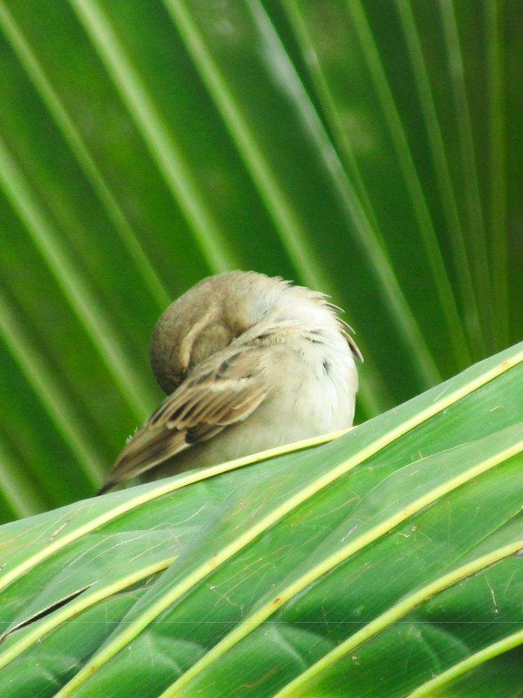 Photograph by jakshit jivan