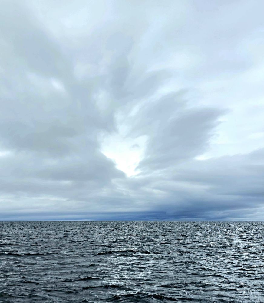 Photograph by Лариса Ким
