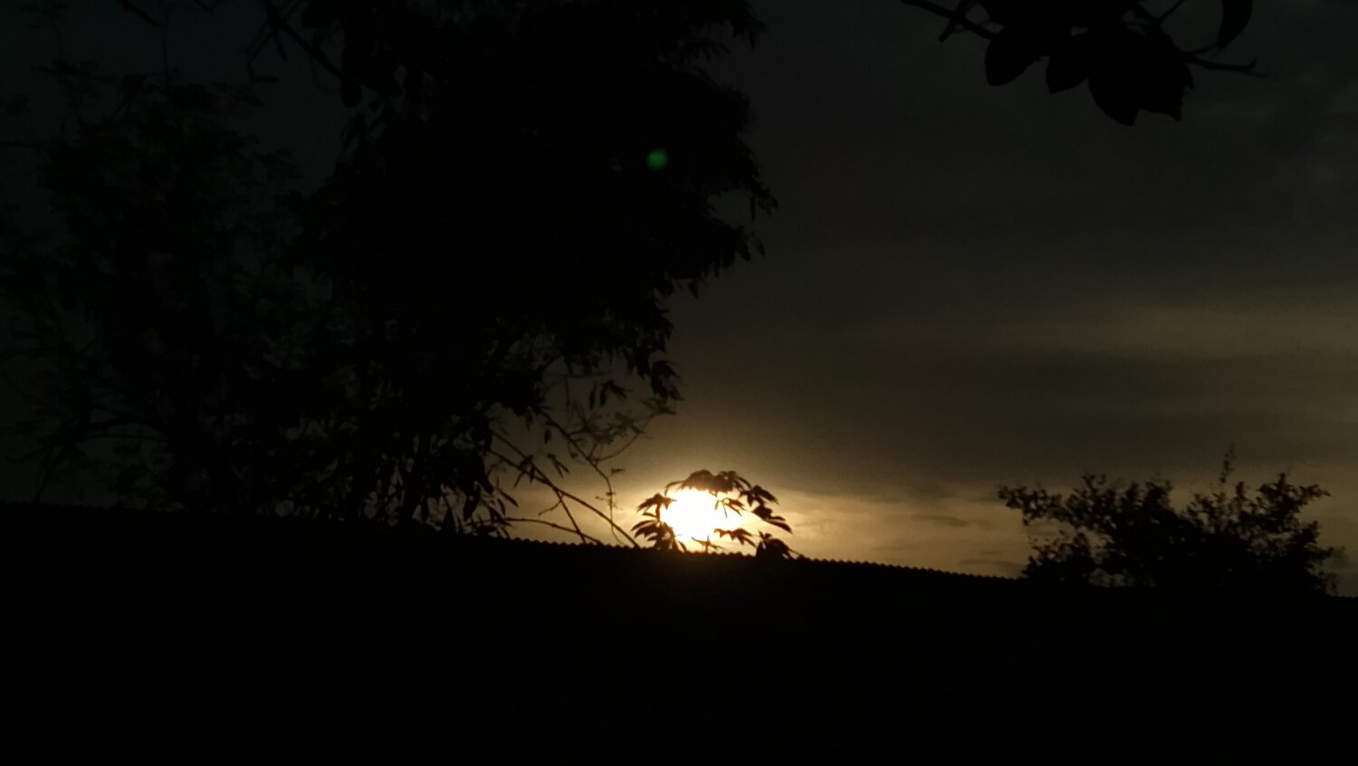 Photo #13738013